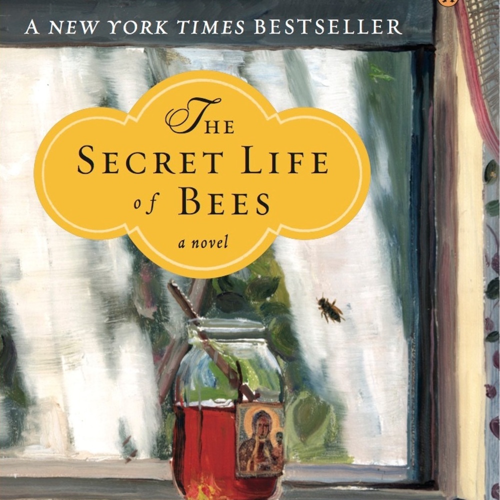 Secret Life of Bees used book (read once)